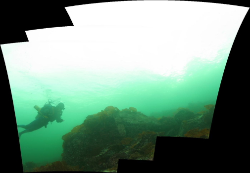 REEF PANORAMA