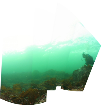 REEF PANORAMA