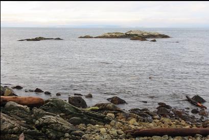 exposed rocks in shallow area