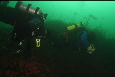 swimming next to wall