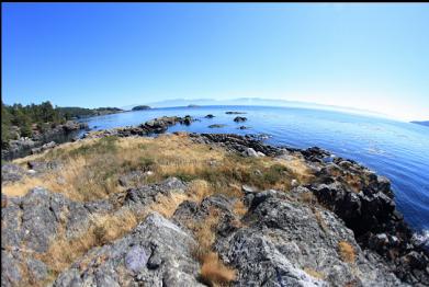 on top of islet looking out of Becher Bay