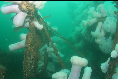 cables holding up wall of wheelhouse