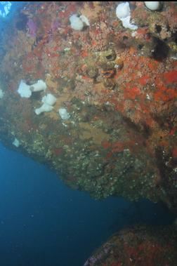 under overhang near boat