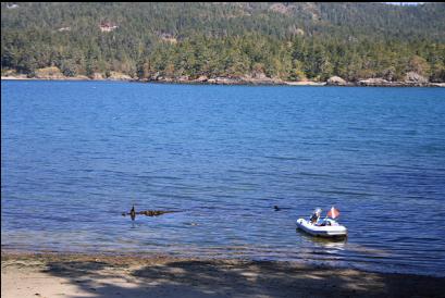 anchored next to exposed wreckage at low tide