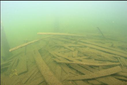 planks near swampy area