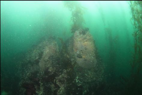 small rocky pinnacle