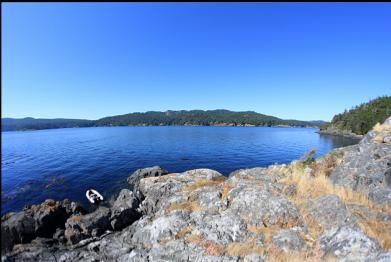 on top of islet looking inside Becher Bay