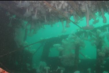 inside wheelhouse with cables holding up wall