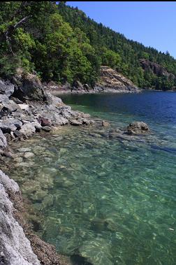 shoreline looking North