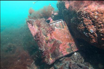 wooded box/block caught under a boulder