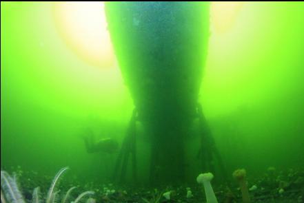 long exposure under the plane