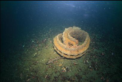 lingcod and ?