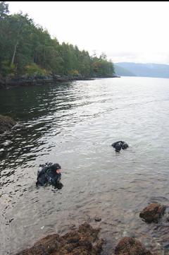 IN BAY