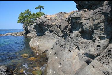 sandstone shoreline