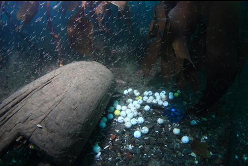 golf balls next to a log