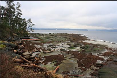 looking left at end of trail towards point