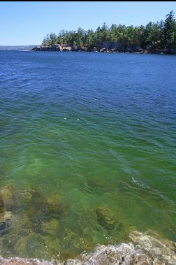 LOOKING ACROSS TO EAST POINT OF ISLAND