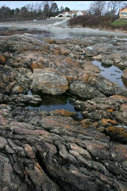 rocks at point