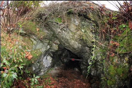 entrance to the tunnel