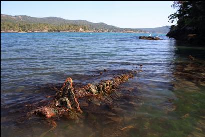 engine? at low tide