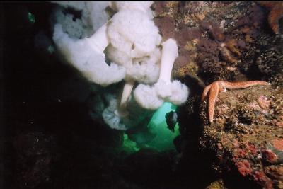 INSIDE CAVE