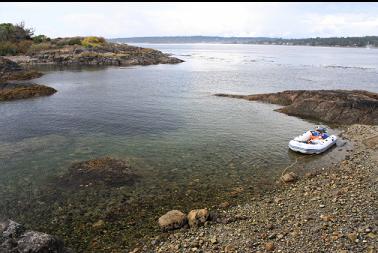 bay with Baynes Channel in background