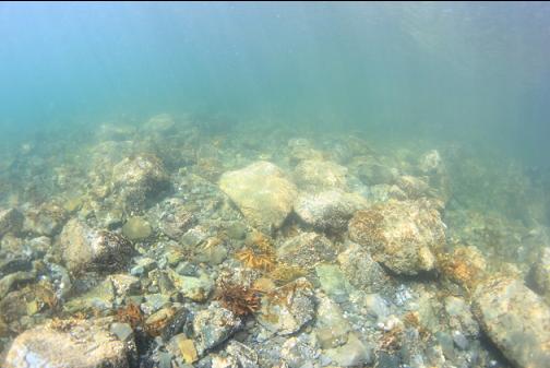 broken rocks in the shallows