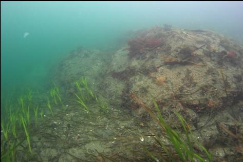 first view of the rocky reef