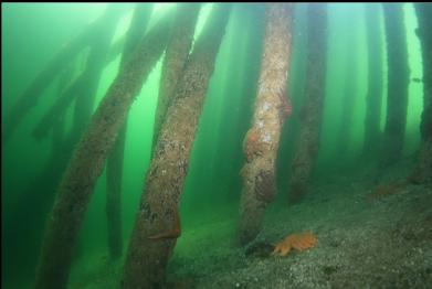 under dock