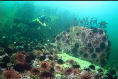 urchins near end of pass