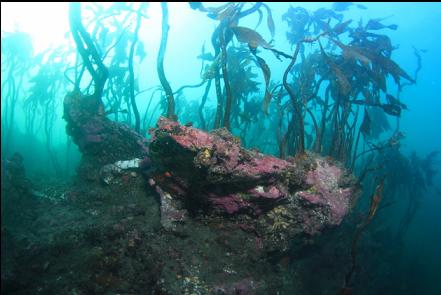 rock formations