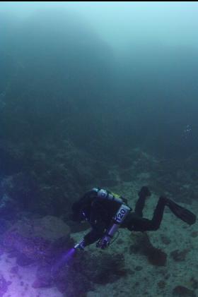 swimming around corner