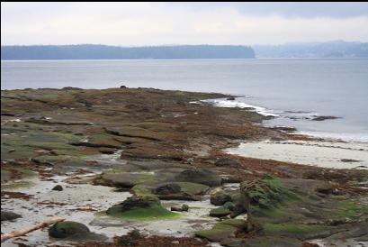 the point at low tide