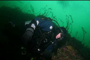 swimming by wall