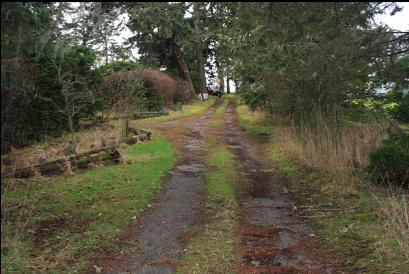 looking down lane