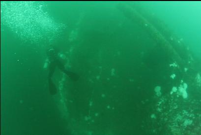 diver next to gun