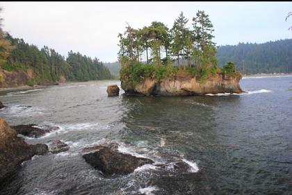 island near Tongue Point