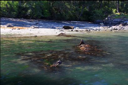 wreckage near beach