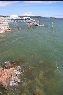 SHORELINE NEXT TO PIER