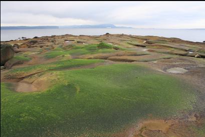 sandstone at point