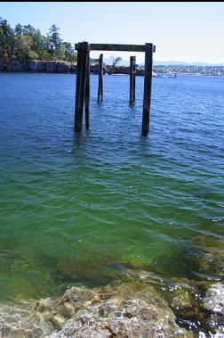 PILINGS BETWEEN BEACH AND ISLAND