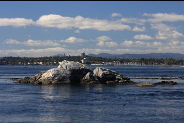 rock where I anchored with Oak Bay in background