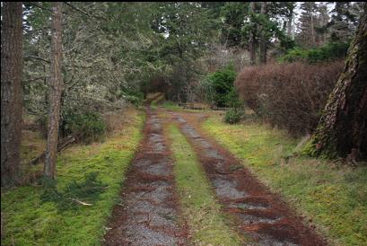 looking back up lane