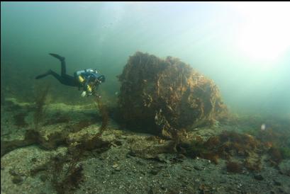 boulder 25 feet deep