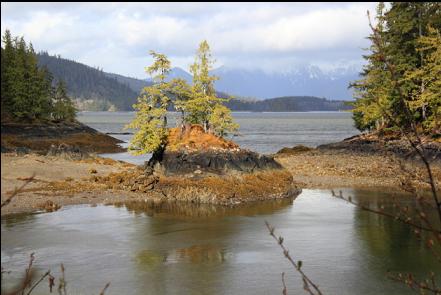 tiny islet at low tide