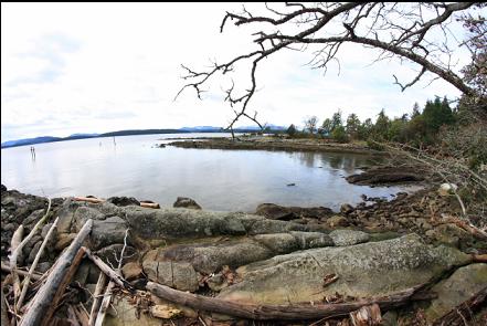 the beach at the bottom of the trail