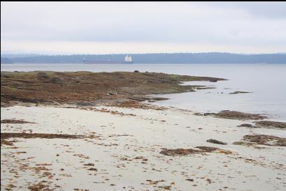 the point at low tide