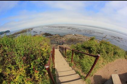 steps to the shore the next morning