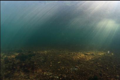 light rays near shore