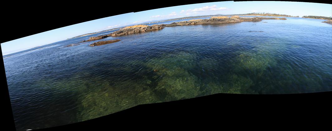 looking from Discovery Island to exposed rocks at point